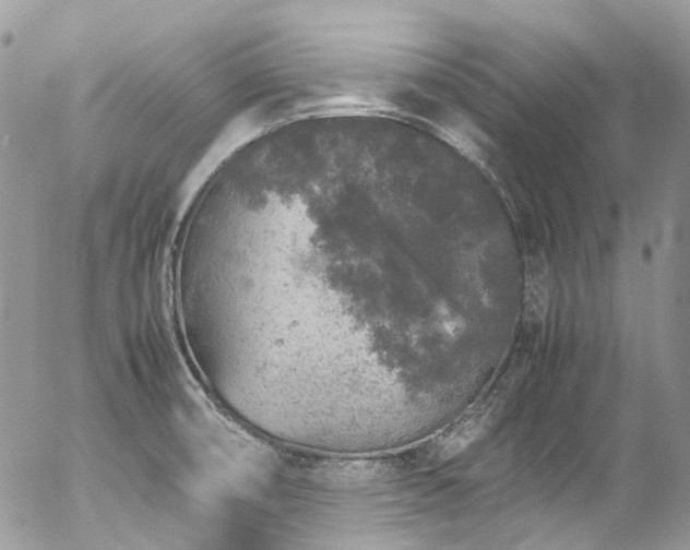 X0000054371474200507291034