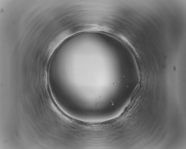 X0000054371476200507291034