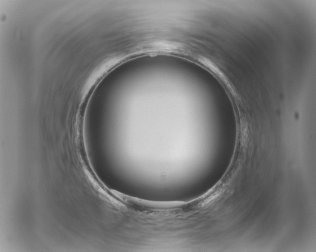 X0000054371477200507291034