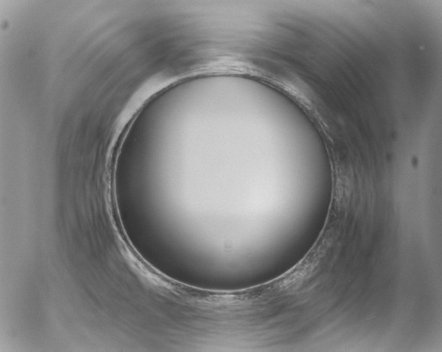 X0000054371478200507291034