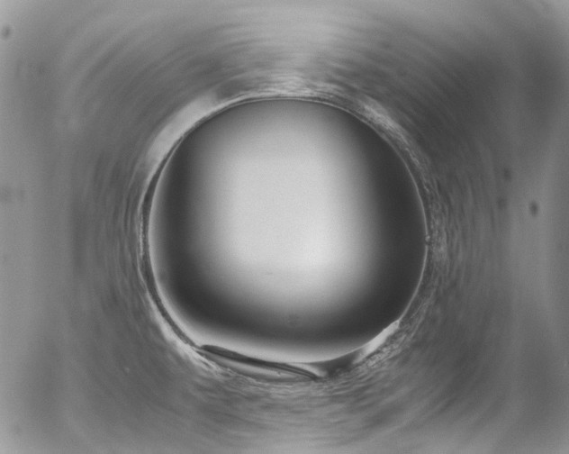 X0000054371479200507291034