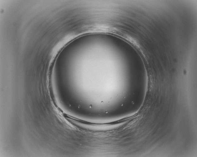 X0000054371480200507291034