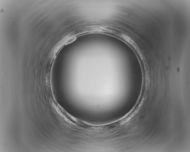 X0000054371481200507291034