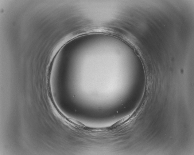 X0000054371483200507291034