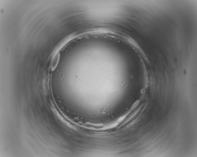 X0000054371484200507291034