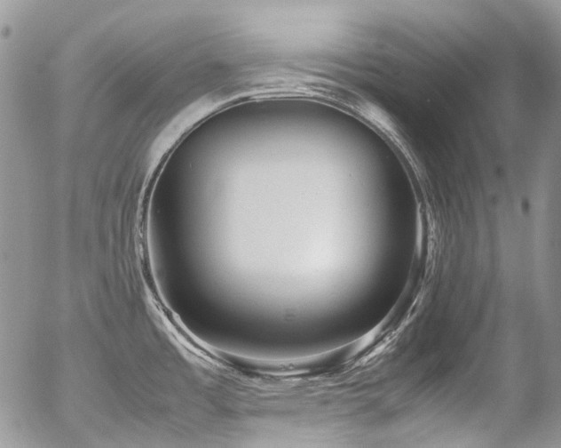 X0000054371485200507291034