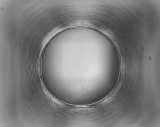 X0000054371486200507291034