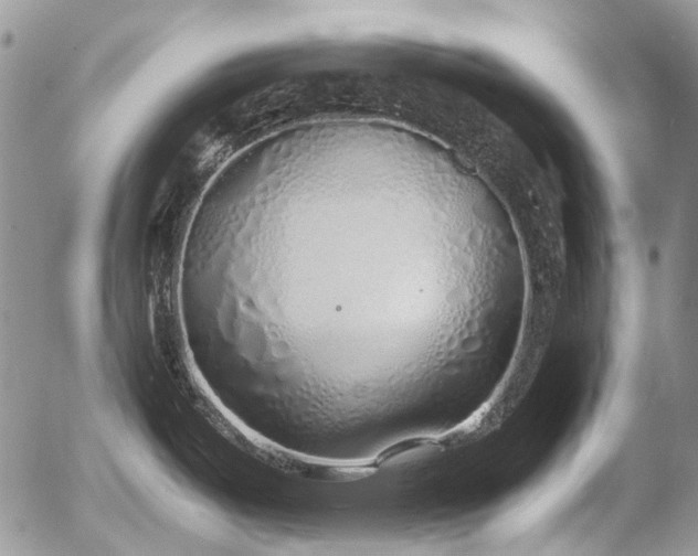 X0000054371487200507291034