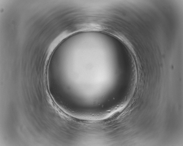 X0000054371488200507291034