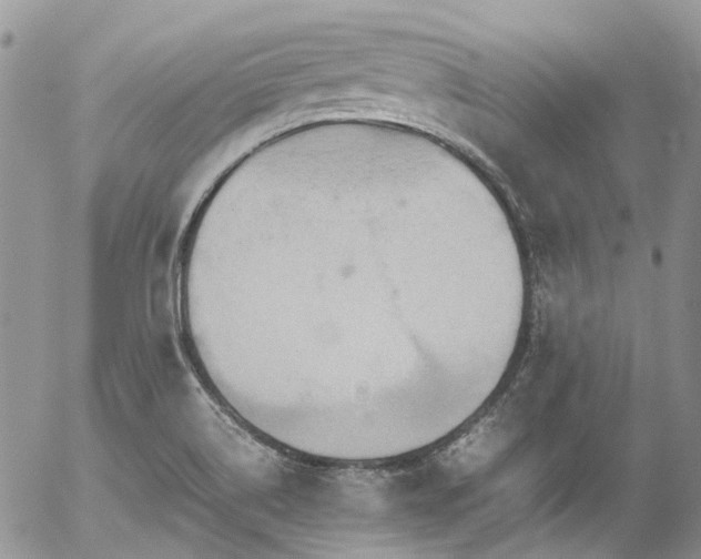 X0000054371514200507291034