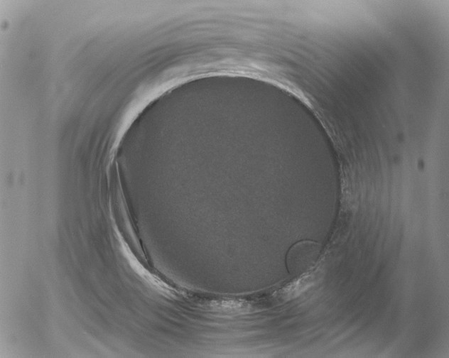 X0000054371515200507291034