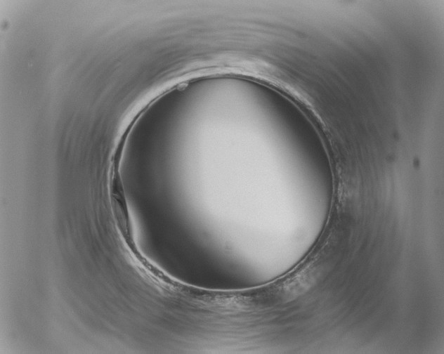 X0000054371516200507291034