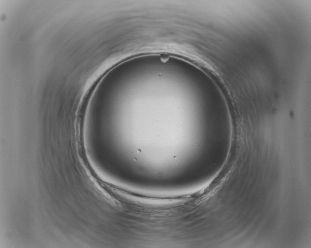 X0000054371517200507291034