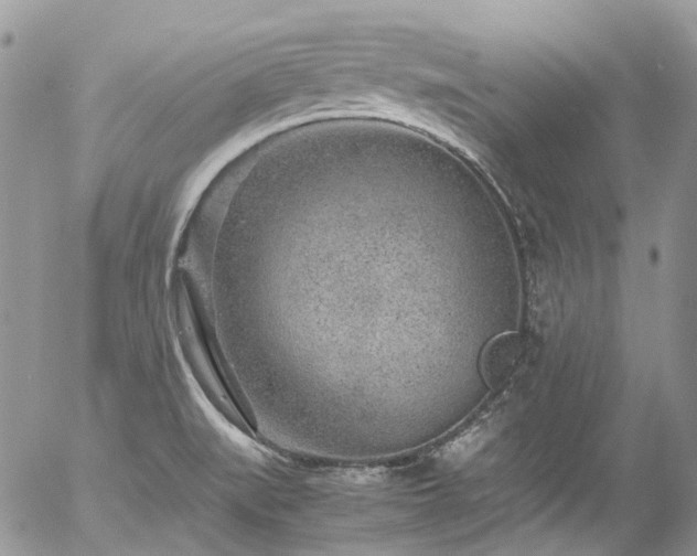 X0000054371519200507291034