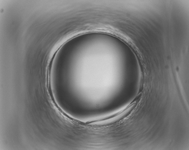 X0000054371520200507291034