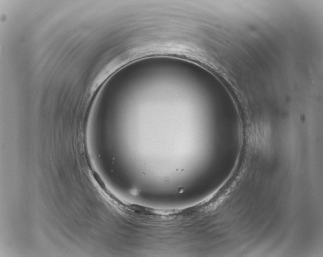 X0000054371521200507291034