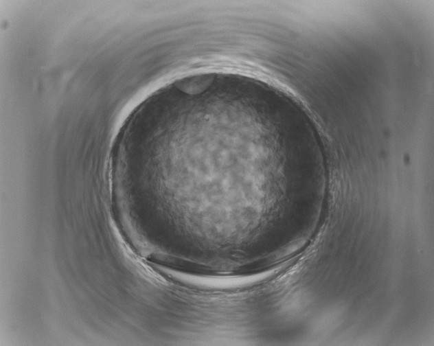 X0000054371522200507291034