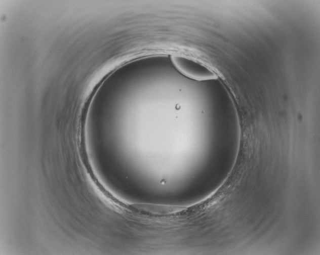 X0000054371523200507291034