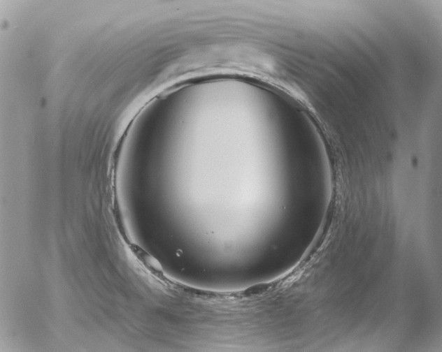 X0000054371524200507291034