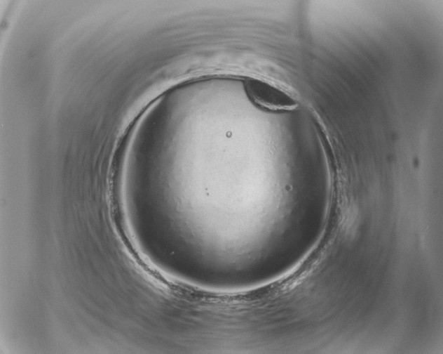 X0000054371525200507291034