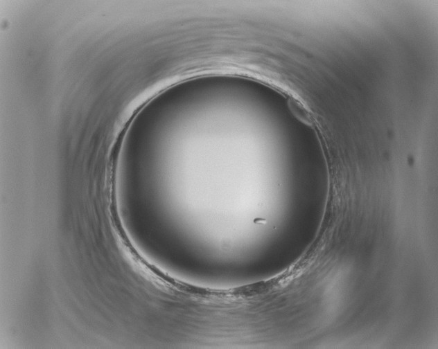 X0000054371526200507291034