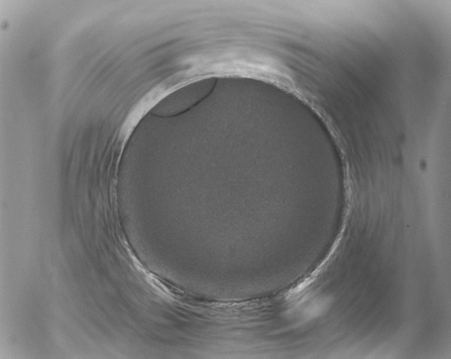 X0000054371529200507291034