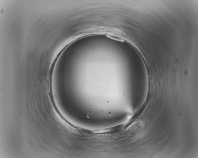 X0000054371531200507291034