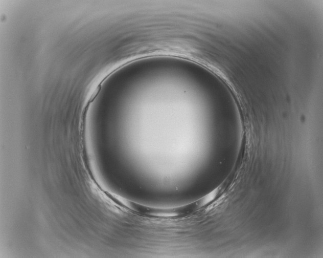 X0000054371532200507291034