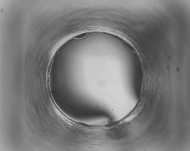 X0000054371535200507291034