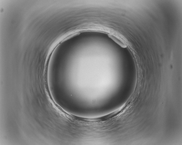 X0000054371536200507291034