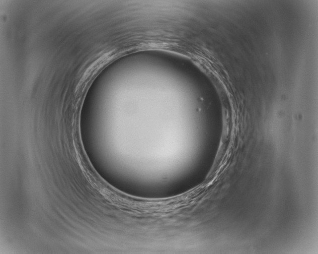 X0000054370001200508011233