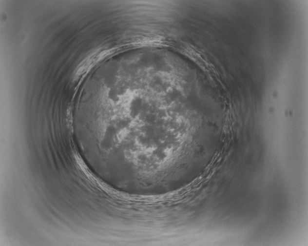 X0000054370002200508011233