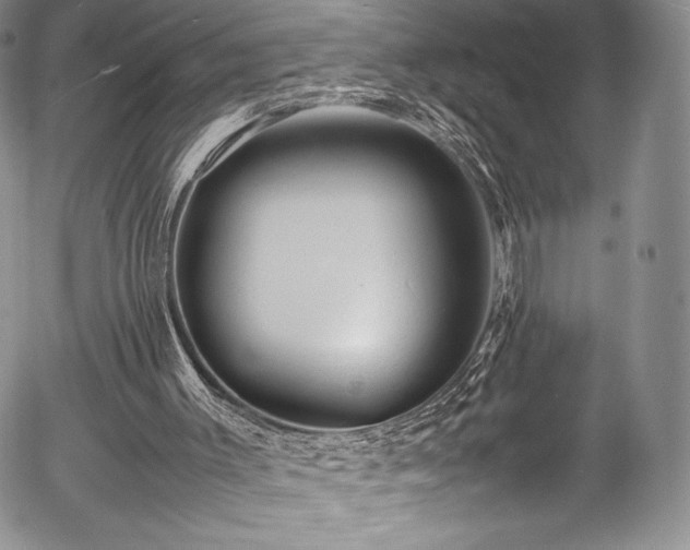 X0000054370003200508011232