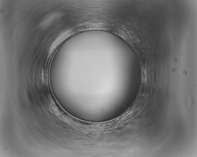 X0000054370004200508011232