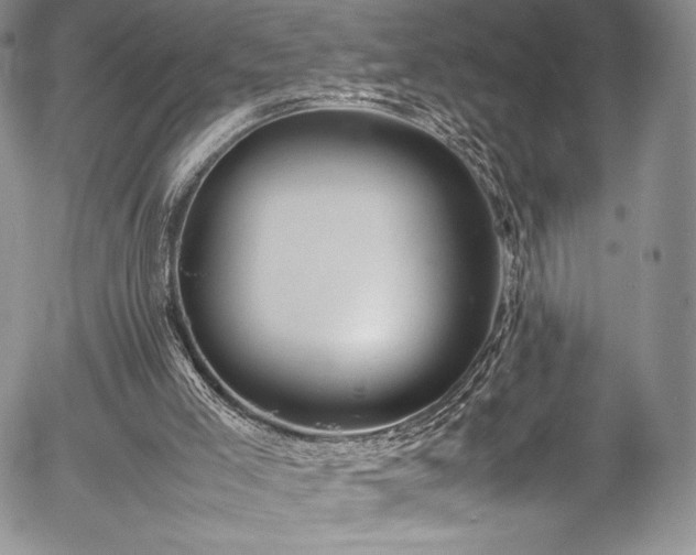 X0000054370005200508011232