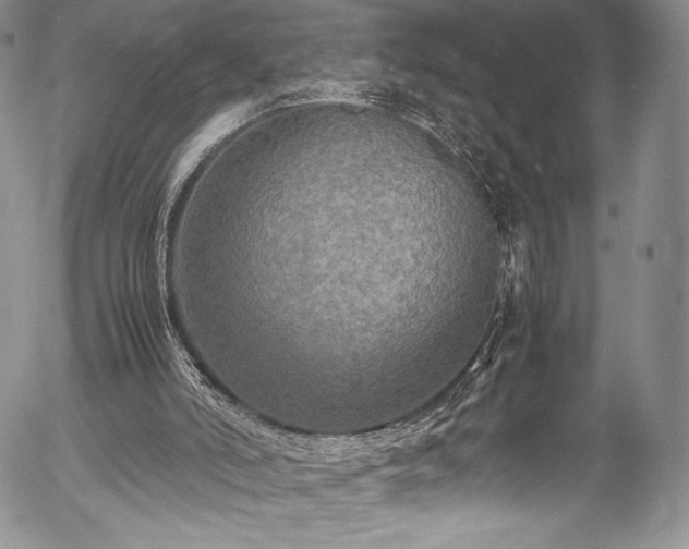 X0000054370006200508011232