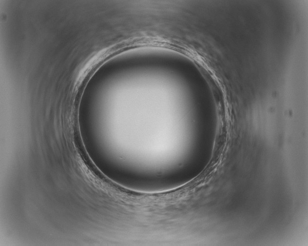 X0000054370007200508011232