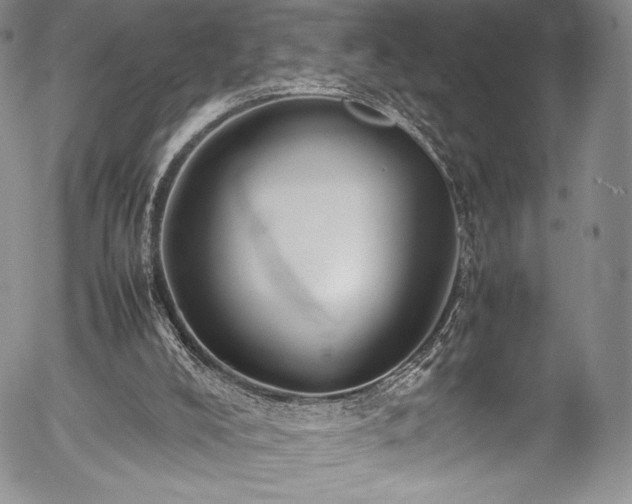 X0000054370008200508011232