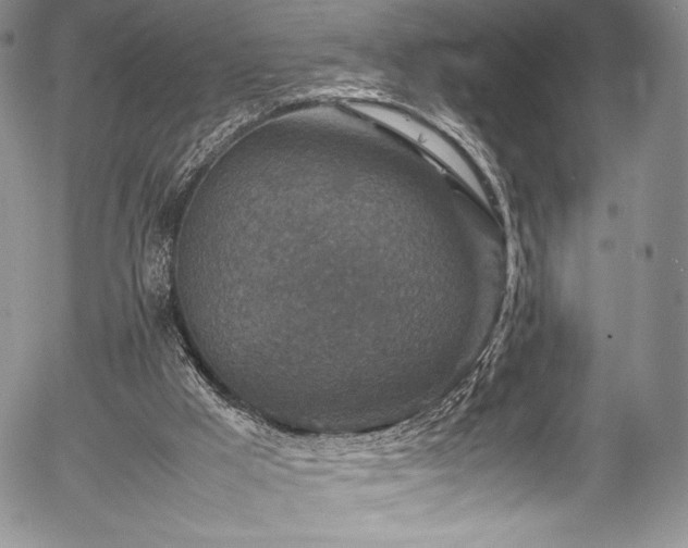 X0000054370009200508011232