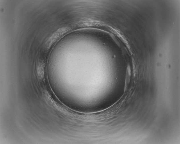 X0000054370010200508011232