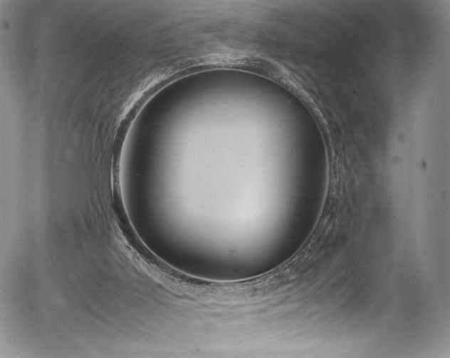 X0000054370011200508011232