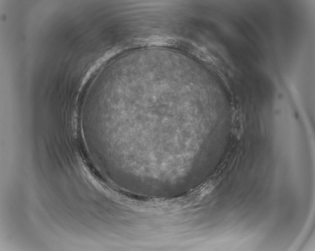 X0000054370012200508011232