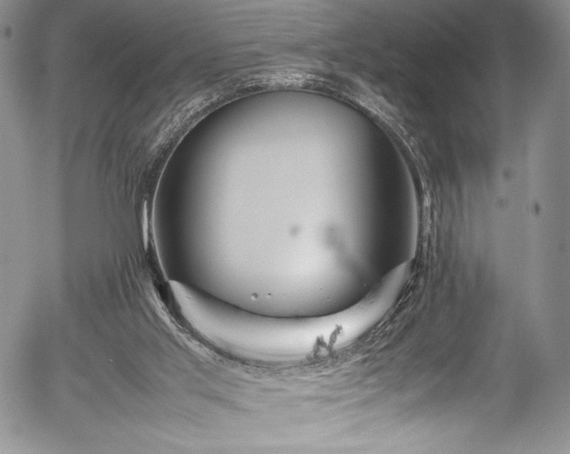 X0000054370013200508011232