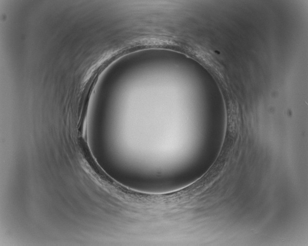 X0000054370015200508011232