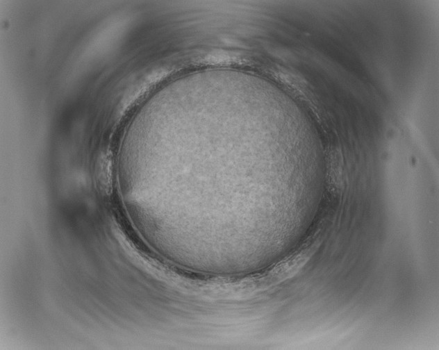 X0000054370016200508011232