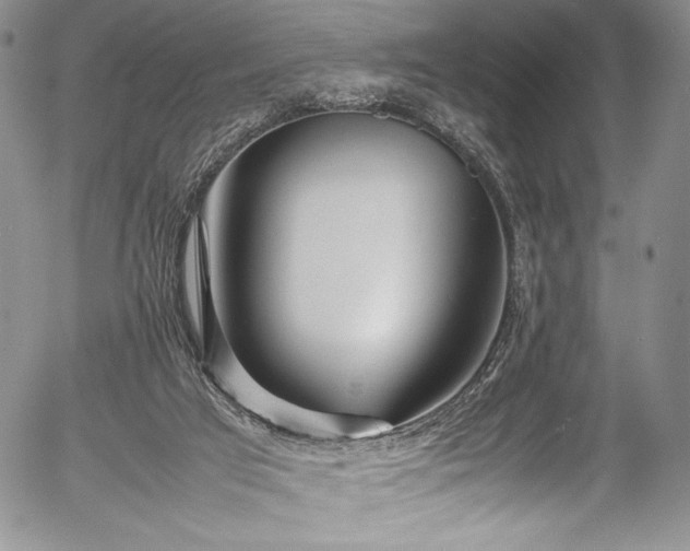 X0000054370017200508011232