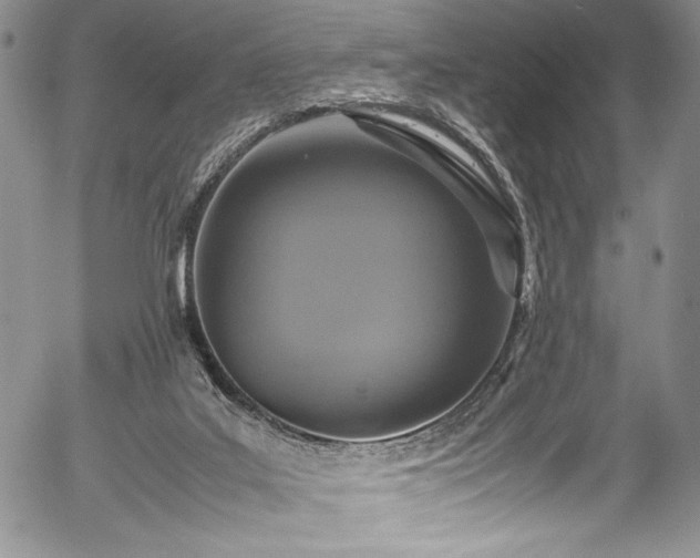 X0000054370019200508011232