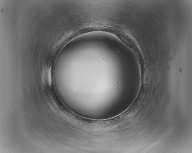 X0000054370020200508011232