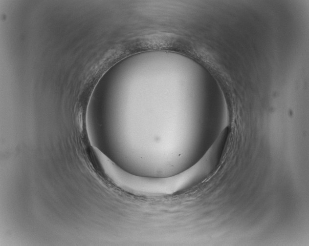 X0000054370021200508011232