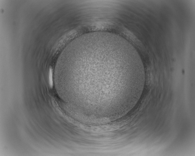 X0000054370022200508011232